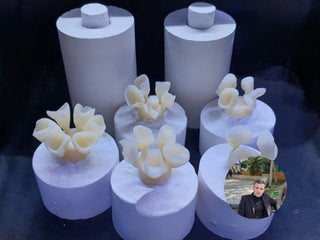 Case Author: David From：Mexico Material: Lithium-Disilicate-Ingot