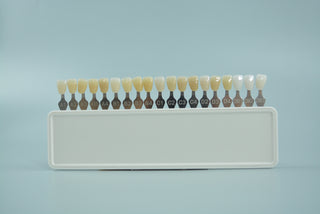 STANDARD  Denture Shade Guides