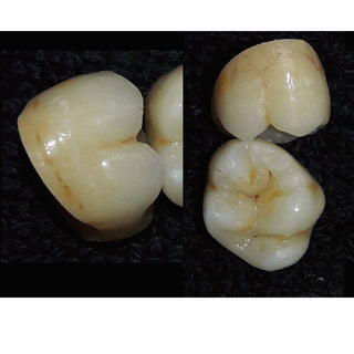 Color Stain Glaze  1 Bottle